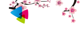 棉花糖小说网